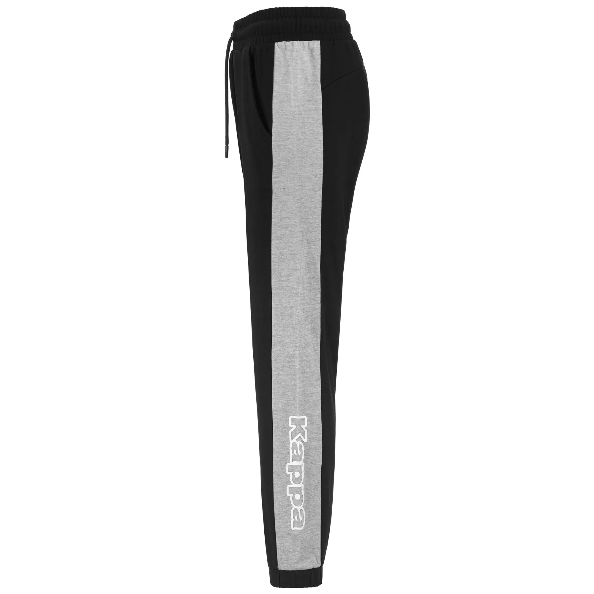 LOGO FESIA NEGRO-GRIS MD MEL